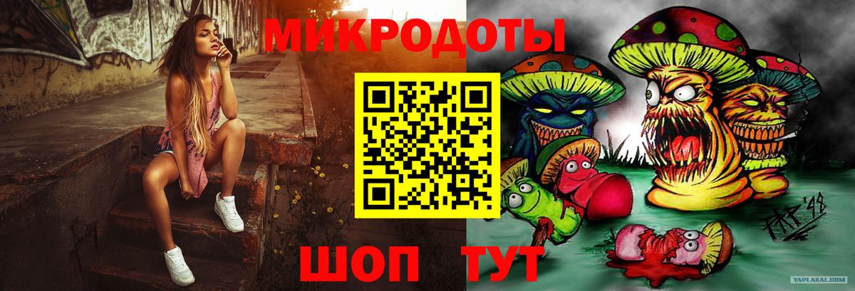 Псилоцибиновые грибы Psilocybe Звенигород